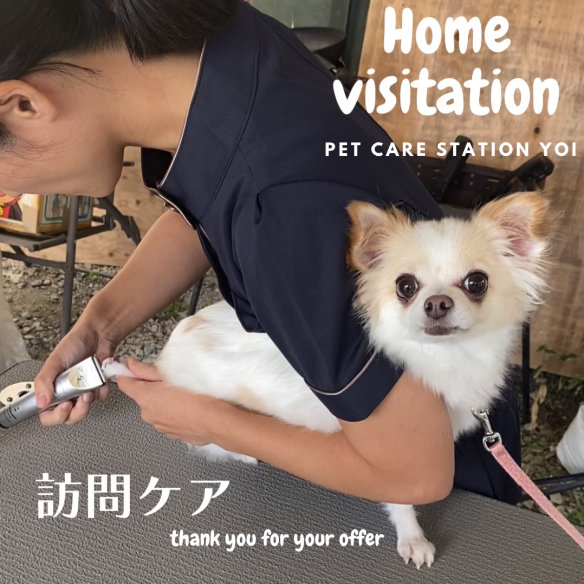 広島ペットの訪問ケア\お手入れ・ご相談ご利用ありがとうございました！/
