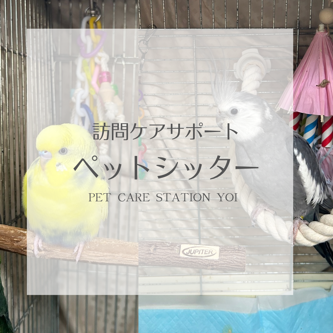 小鳥のペットシッター【広島】ペットケアステーションYOI