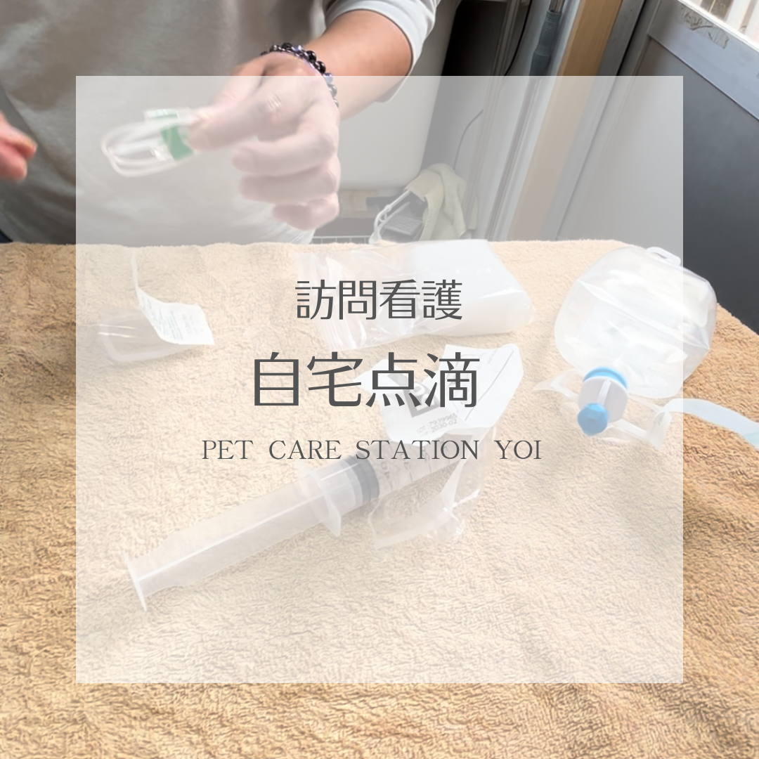 ペットの訪問看護【自宅点滴】ペットケアステーションYOI