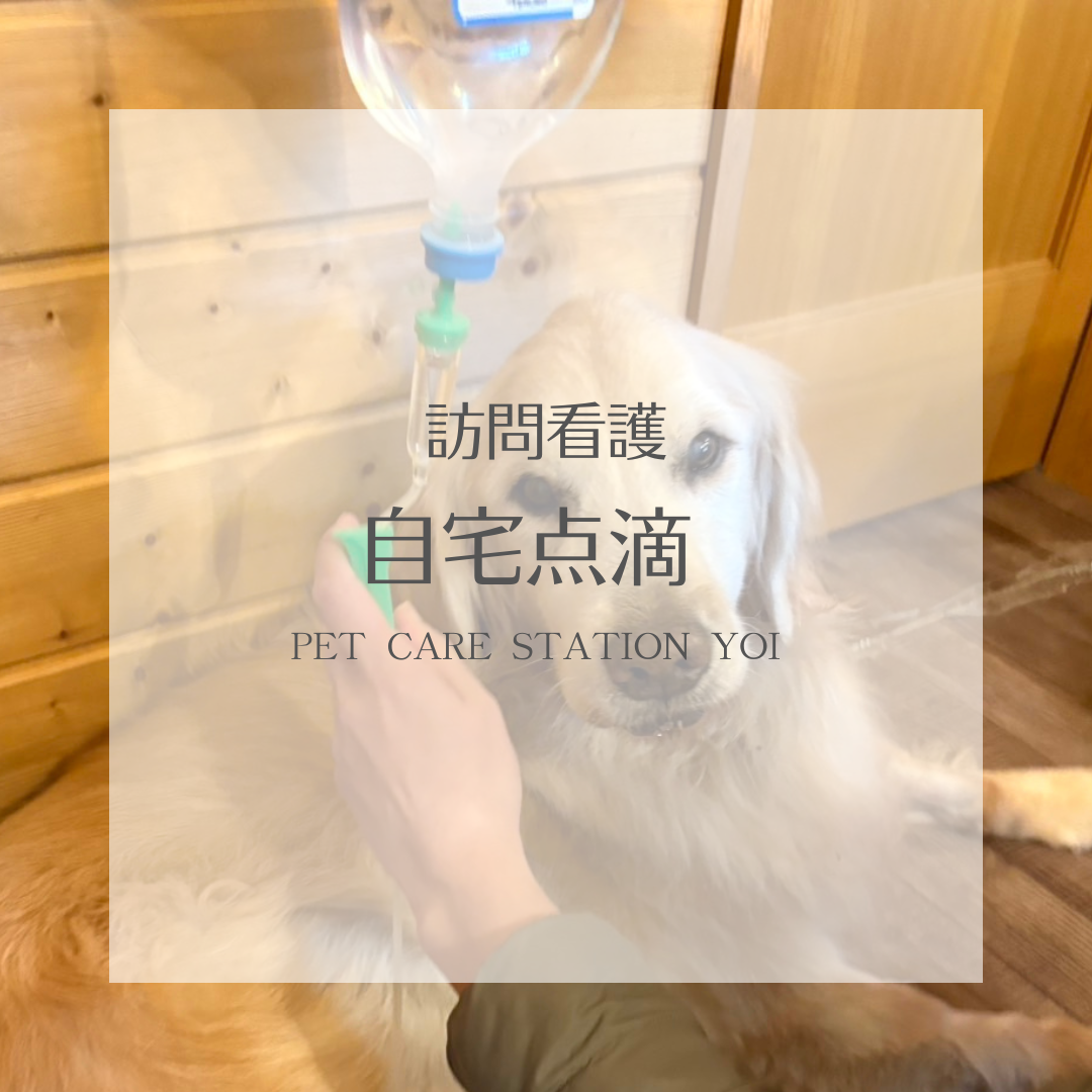 “訪問看護”術後療養・自宅点滴＊ペットケアステーションYOI【広島】