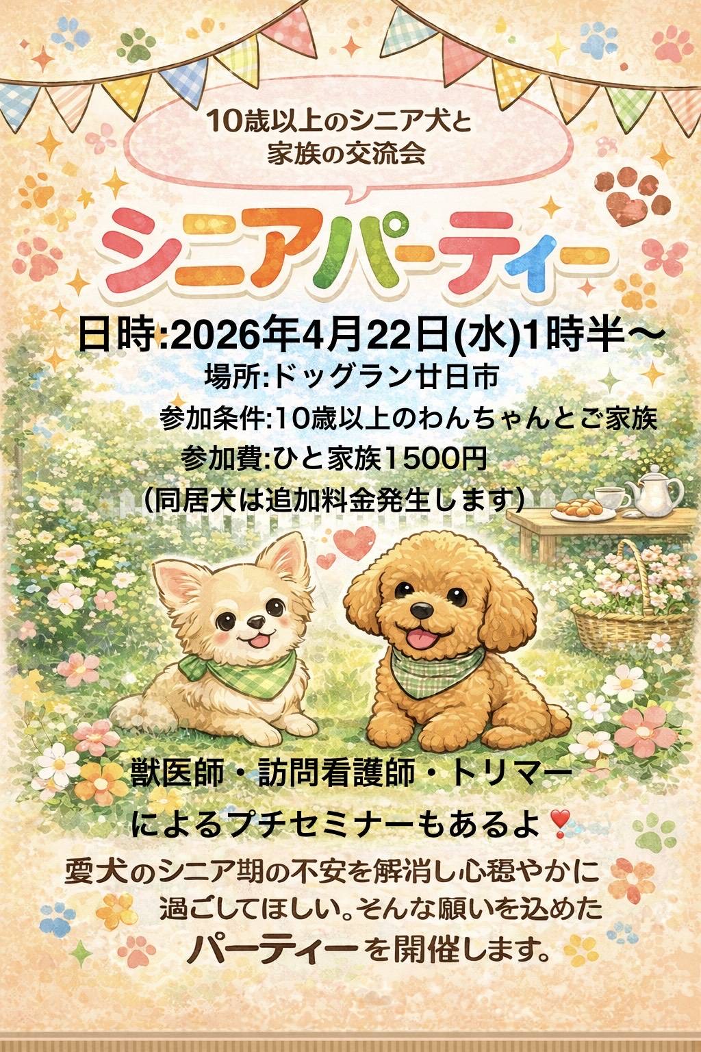 10歳以上の子集まれ⭐︎！シニアパーティー開催します！